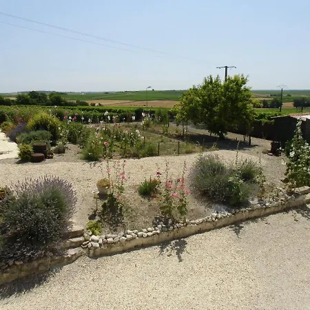 Capucine Saint-Eugene (Charente-Maritime)